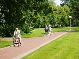 ebene Wanderwege durchziehen den Kurpark